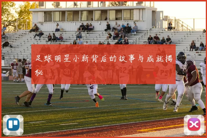 足球明星小新背后的故事与成就揭秘