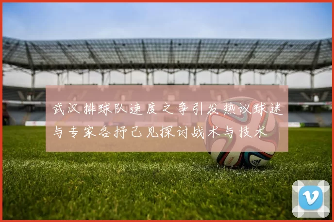 武汉排球队速度之争引发热议球迷与专家各抒己见探讨战术与技术