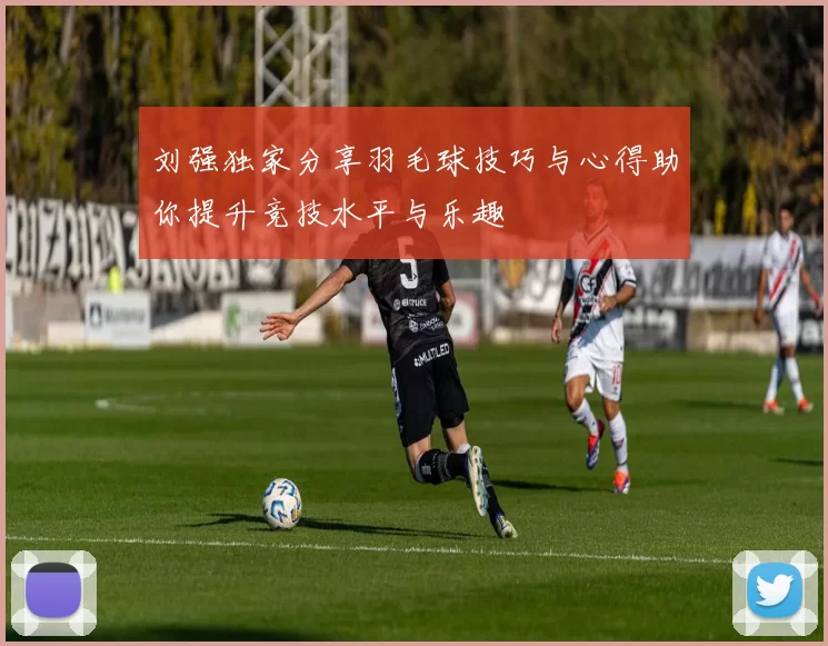 刘强独家分享羽毛球技巧与心得助你提升竞技水平与乐趣