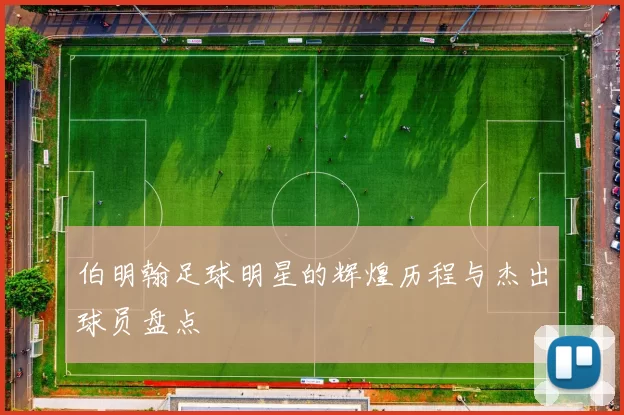 伯明翰足球明星的辉煌历程与杰出球员盘点